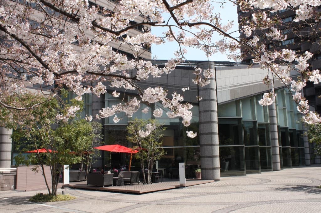 Tokyo Marriott Hotel - photo 15