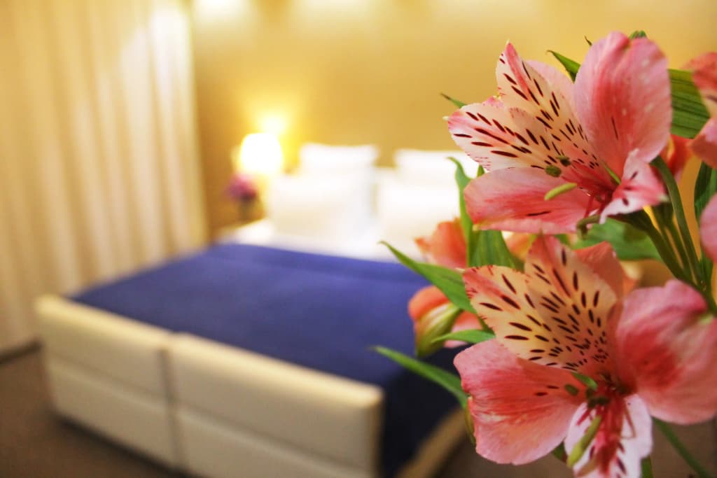 Panorama ECO-Hotel - photo 7