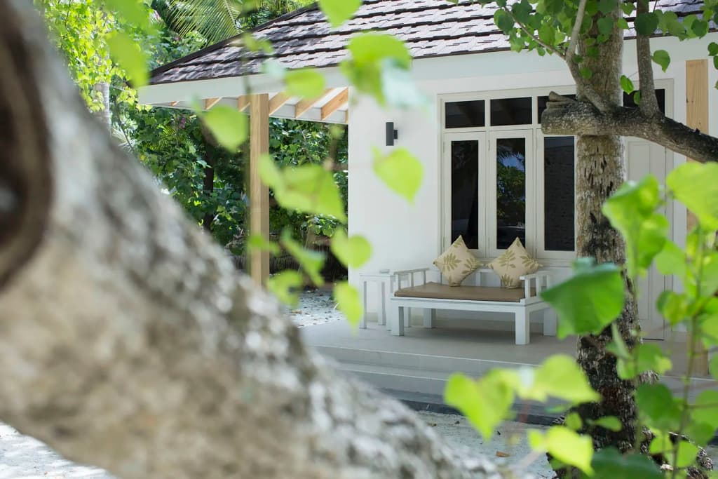 Ellaidhoo Maldives By Cinnamon Hotel - photo 8