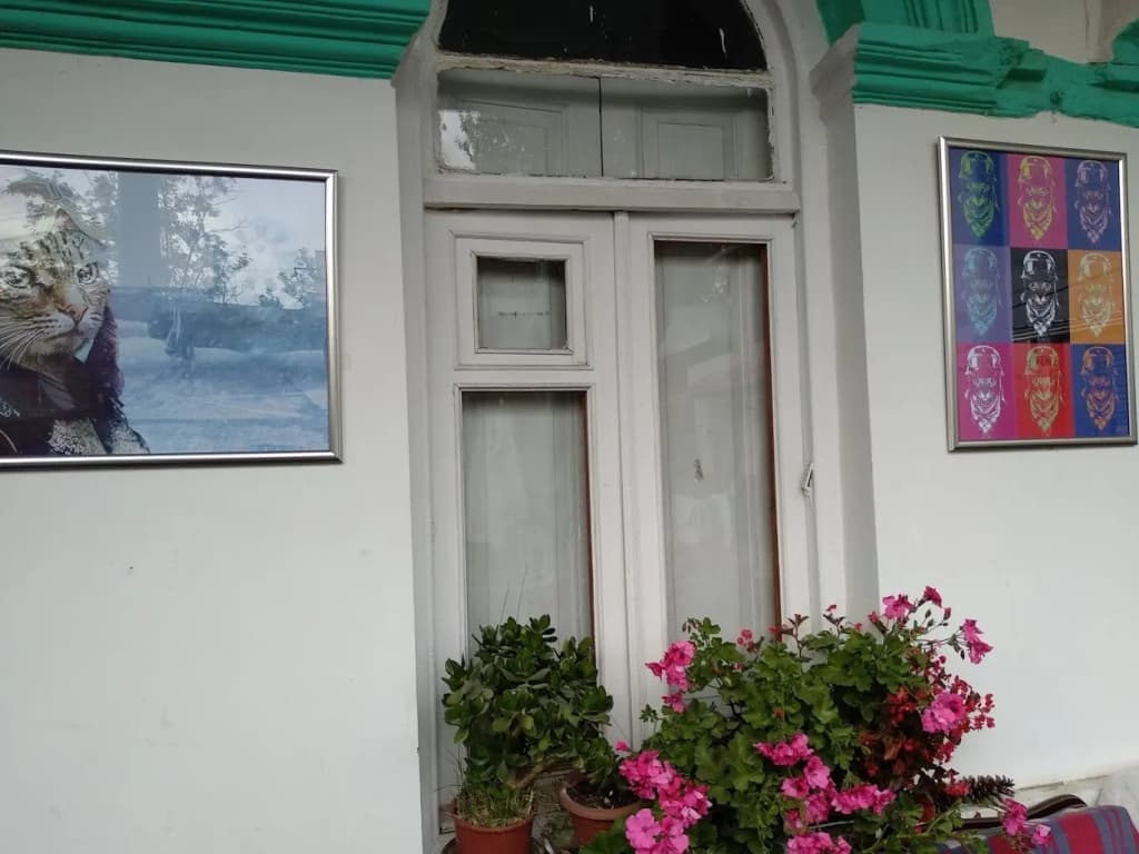 Green Stairs Guest house - photo 14