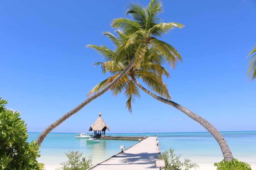 Canareef Resort Maldives - photo 8