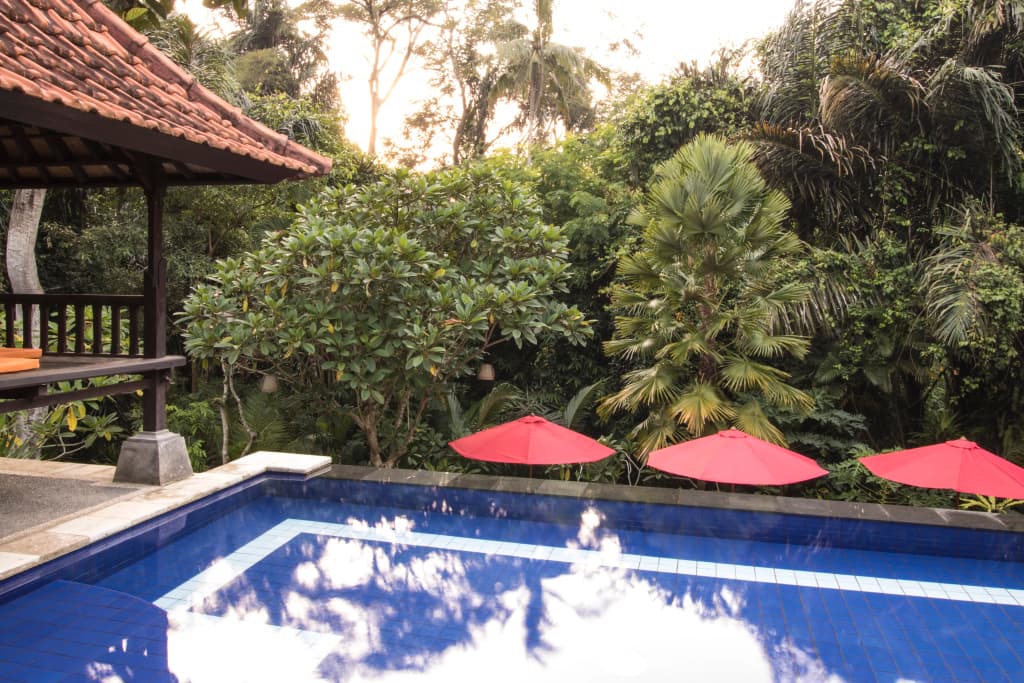 Alas Petulu Cottages - photo 10