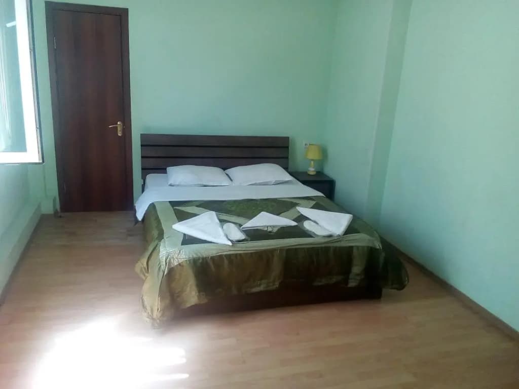 Old Isani Hotel - photo 13