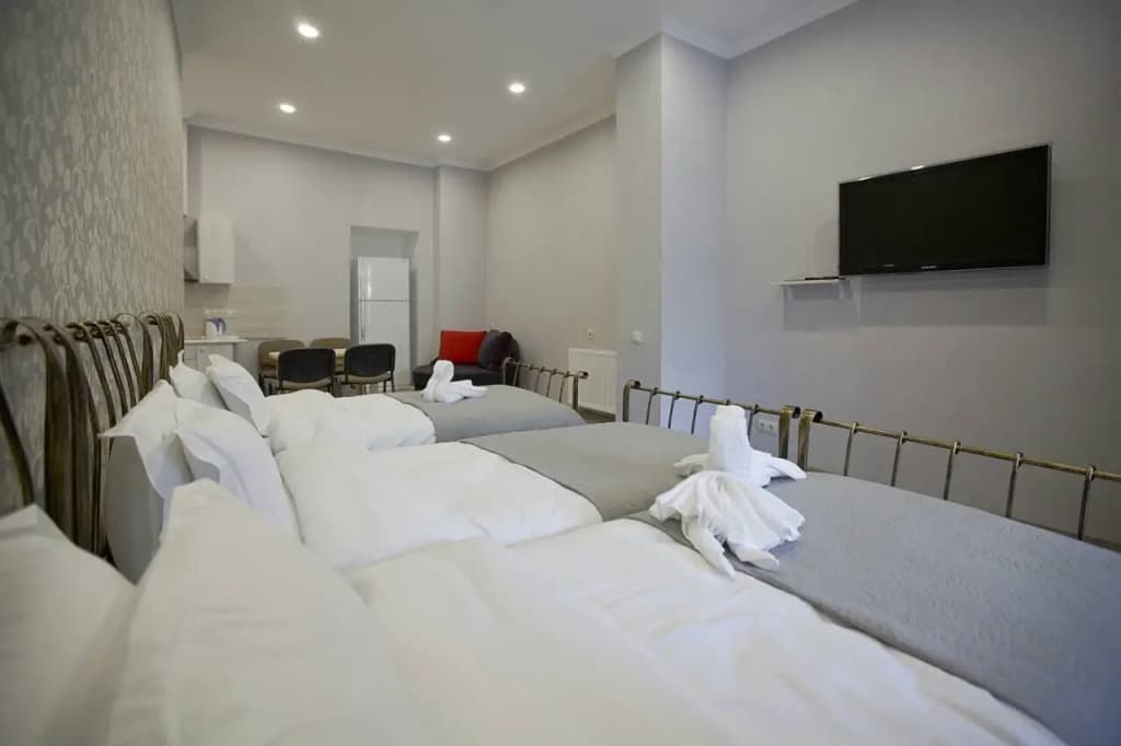 Metekhi Corner Apartments - photo 27