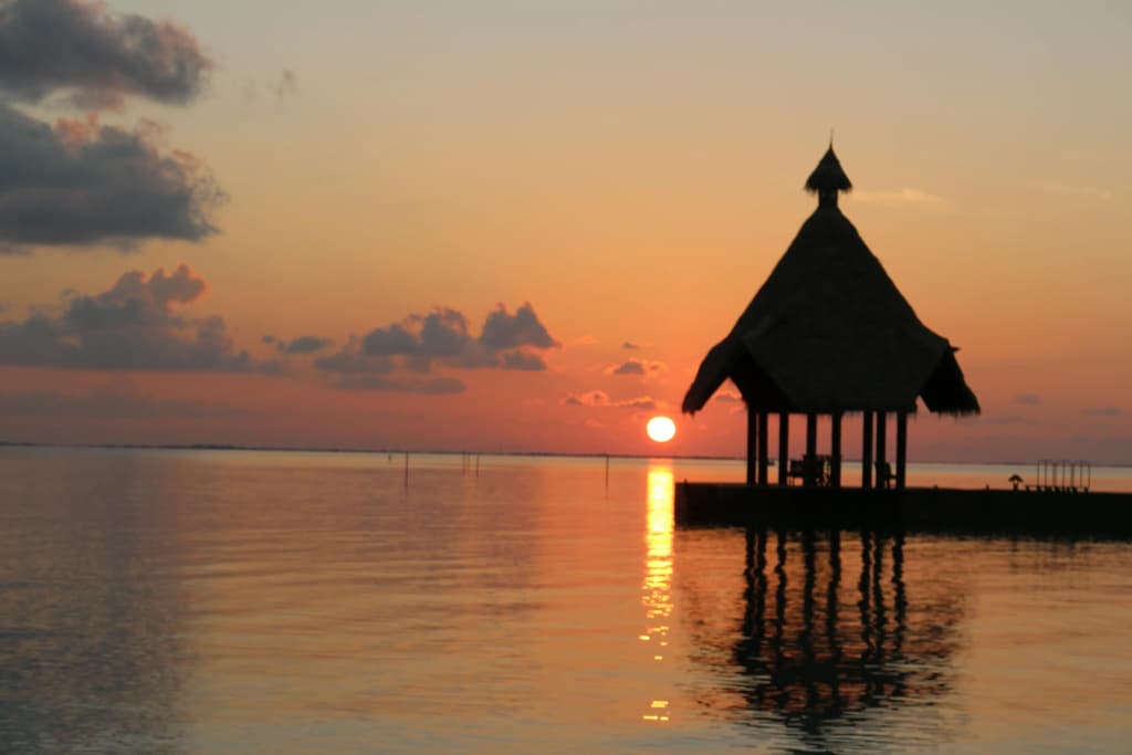 Canareef Resort Maldives - photo 3