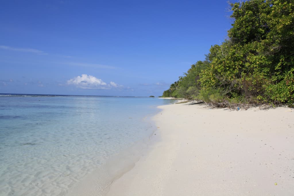 Boutique Beach All Inclusive Diving Hotel - photo 29