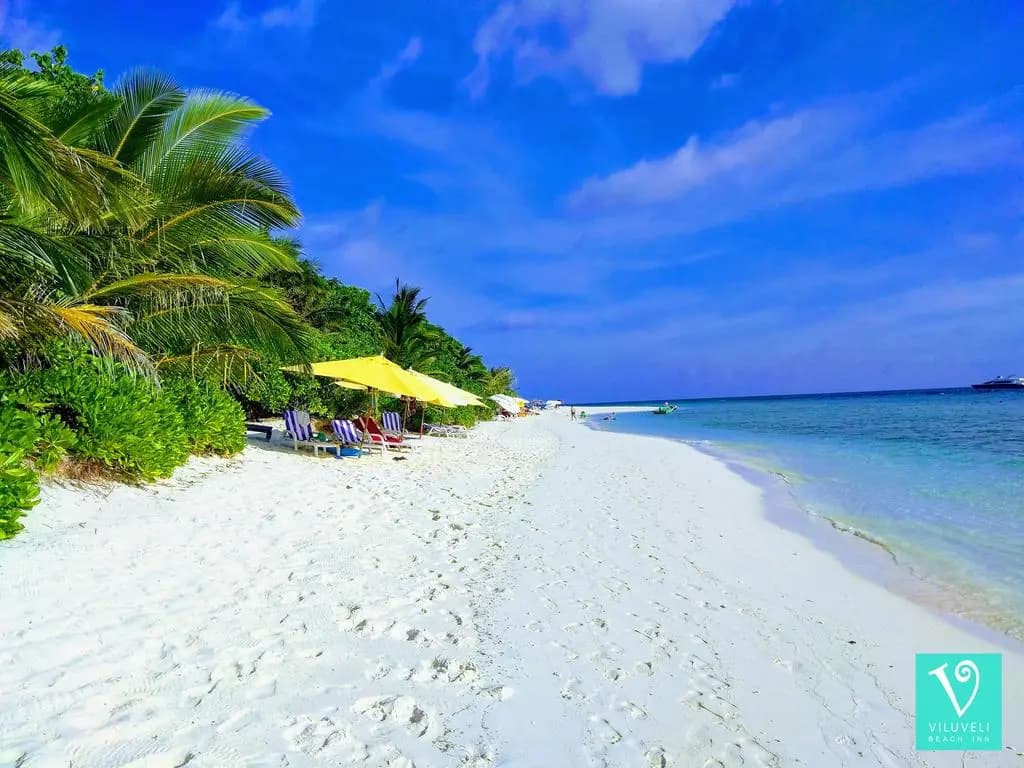 Viluveli Beach Maldives Hotel - photo 34