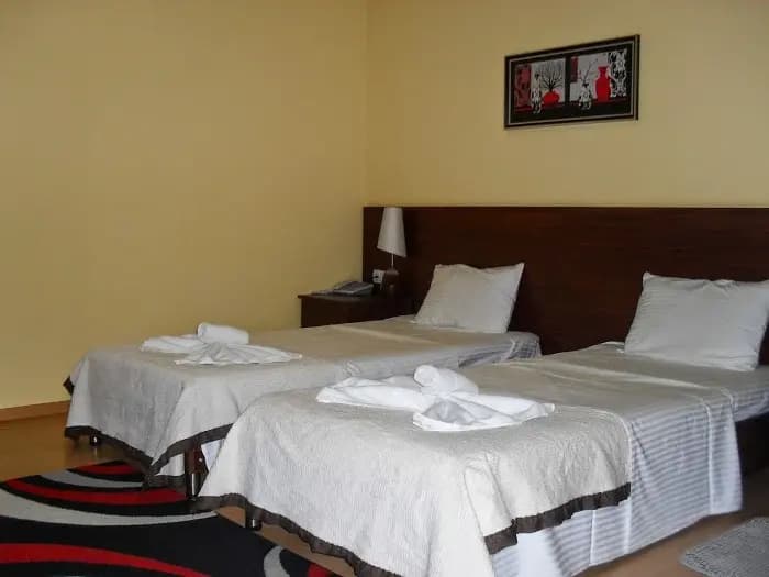 Tbilisi Garden Hotel - photo 5