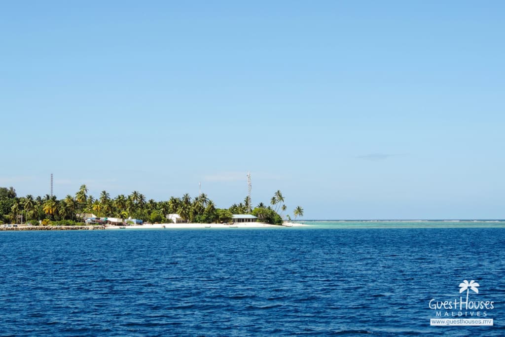 Feridhoo Inn Guest House - photo 24