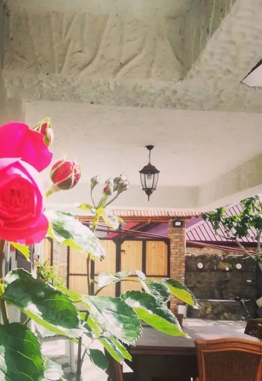 My Garden Guest House - photo 46