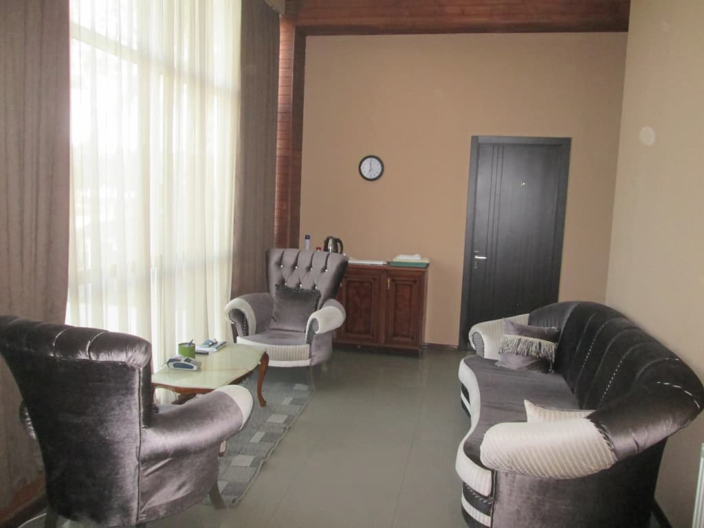 Old Isani Hotel - photo 19