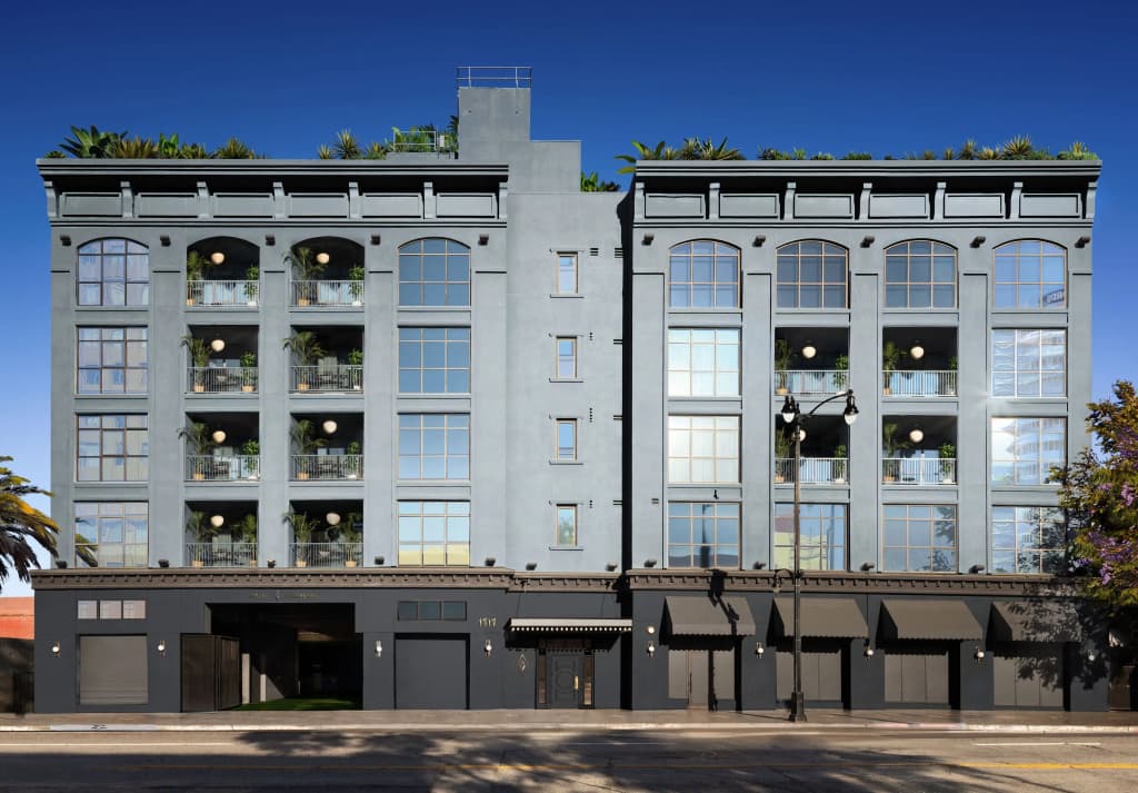 The Aster - main photo