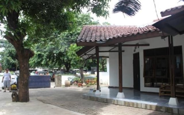 Elvia Guesthouse - photo 4