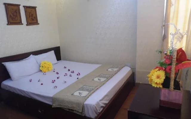 Home Backpackers Hostel - photo 2