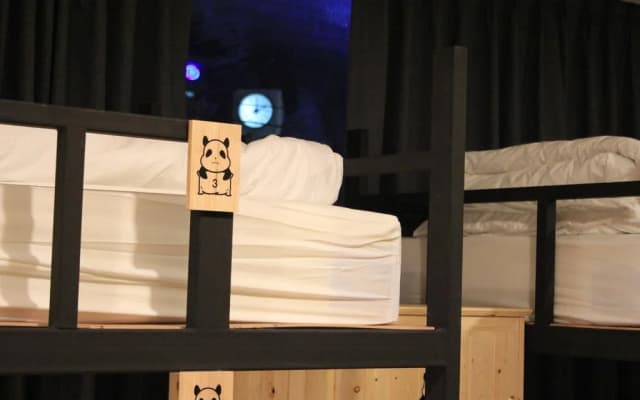 Mad Panda Hostel - photo 4