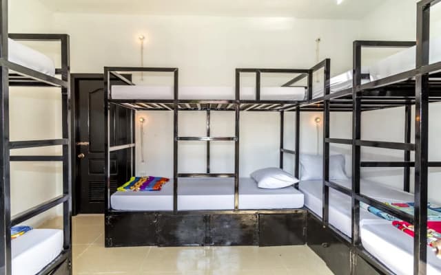 Happy Hippies Hostel - photo 4