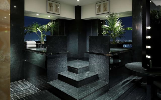 Park Hyatt Tokyo - photo 2
