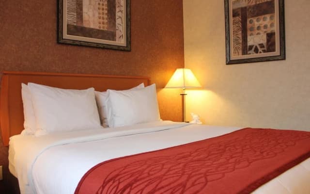 Bellerose Inn - photo 5