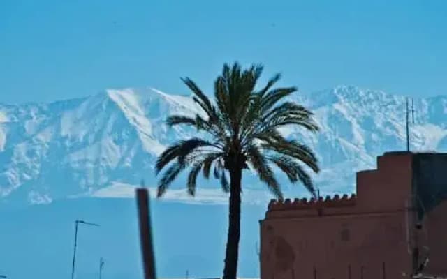 Riad Rocana - photo 2