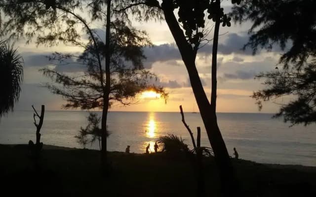 Bungalows @ Maikhao - photo 3