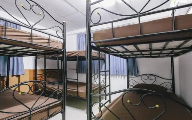 瓦尤旅馆(Vayu Guesthouse) - photo 3