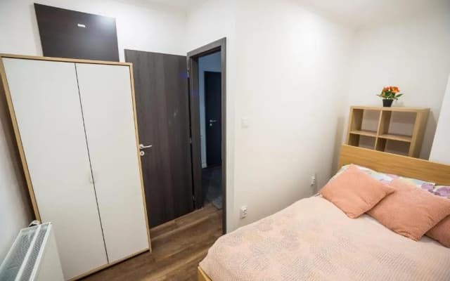 Budapest Kálvin Apartman 2020 - photo 3