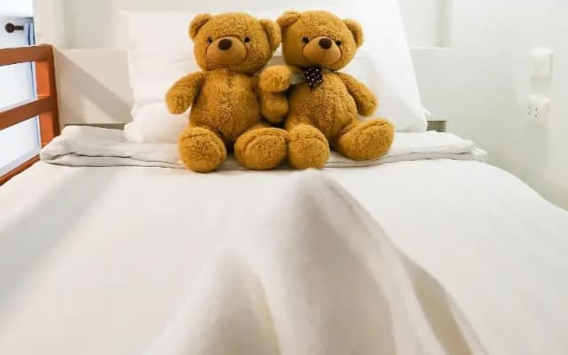 Home De Bear - photo 2
