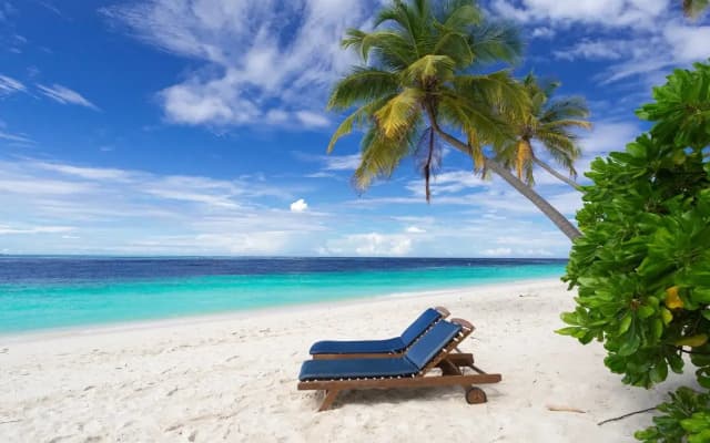 Filitheyo Island Resort - photo 3