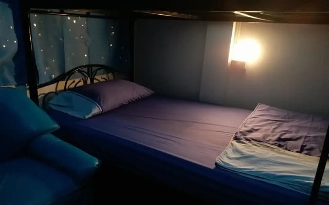 La Maison Verte Hostel - photo 2