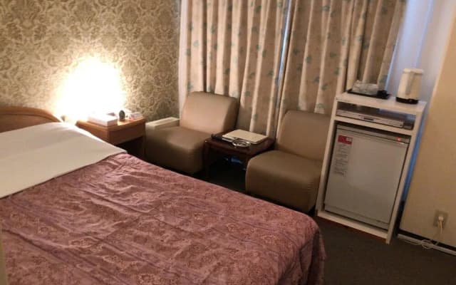 Roppongi Plaza Hotel - photo 5