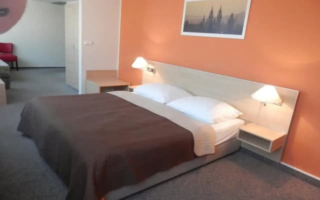 Hotel Ehrlich Prague - photo 5