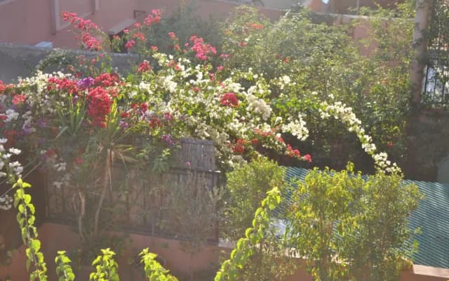 Appartement Andalou - photo 3