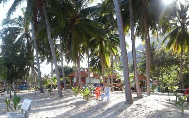 Kiki Coconut Beach Resort - photo 5