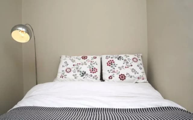 Central New Town Flat - photo 2