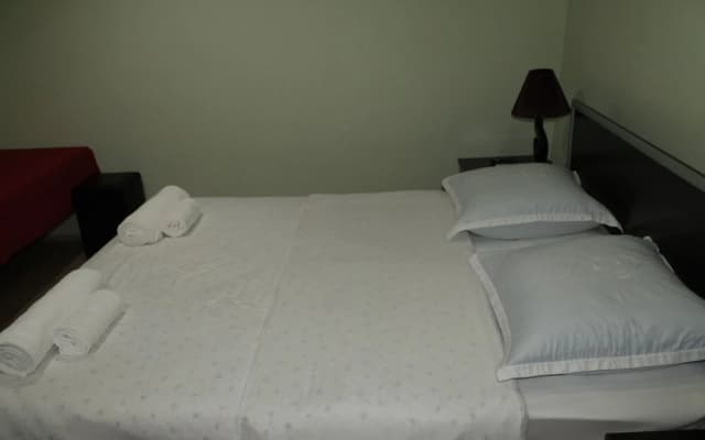 Star Hotel Tbilisi - photo 5