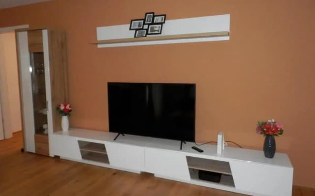 Spacious, Modern 1-bdrm Apt near VIC & Austria Ctr - photo 5