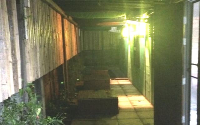 Green House Backpacker - photo 4