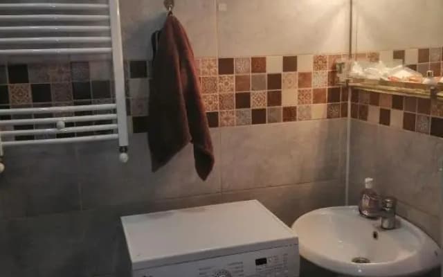 Temo S Home - photo 4