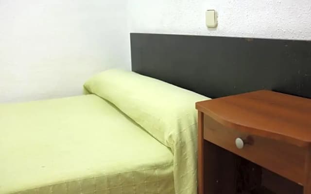 Hostal Lausanne - photo 2