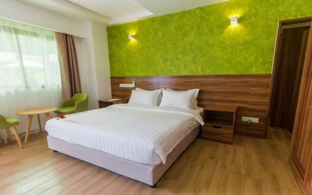 Olive Goidhoo Hotel - photo 5