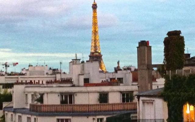 Hotel Studio Tour Eiffel - photo 3