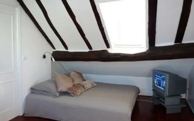Duplex Quartier Latin - photo 3