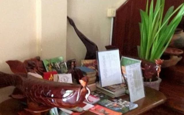 Alliance Villa - photo 2