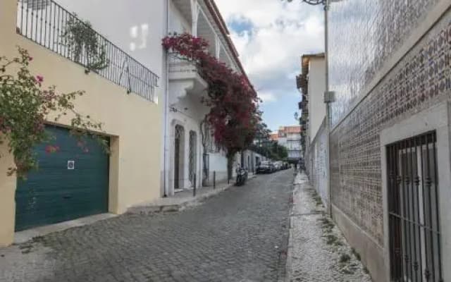 The Lisbon Flat GraCa - photo 4