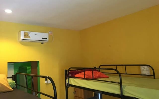 Cheeky Piggy Hostel - photo 2