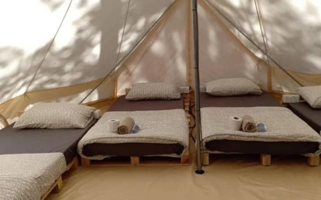 Danz Eco Resort - photo 3