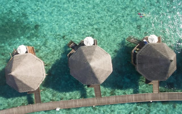 Angaga Island Resort & Spa - photo 5