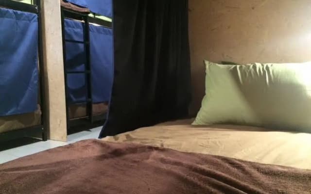 The Pillows Backpackers Inn - photo 2