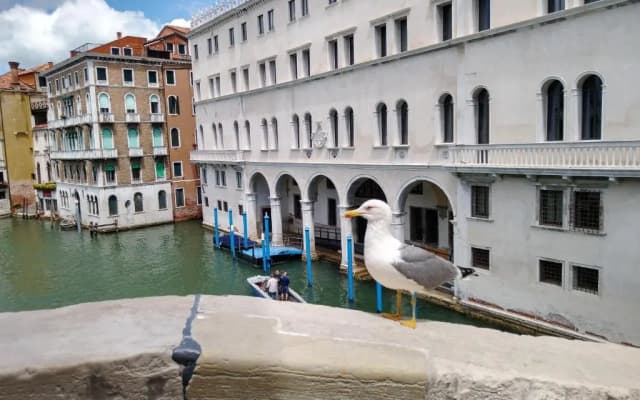 Love Island Venice - photo 4