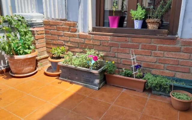 Salve veranda - photo 5